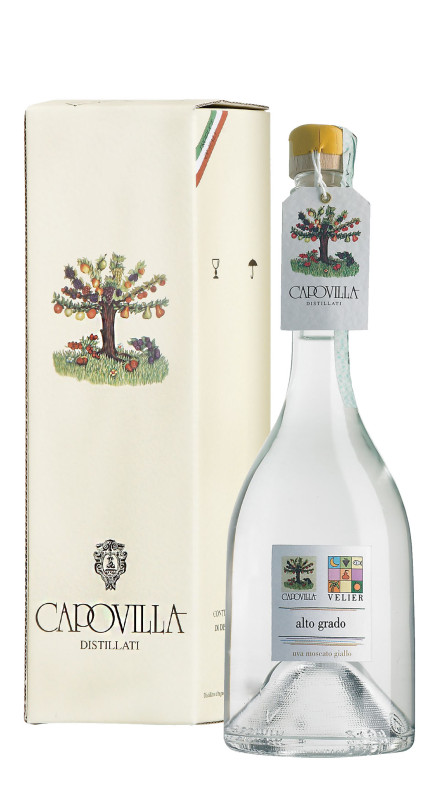 Uva Moscato Giallo