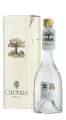 Uva Moscato Giallo