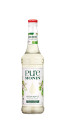 Monin Pure Mela Verde