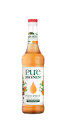 Monin Pure Peach & Apricot