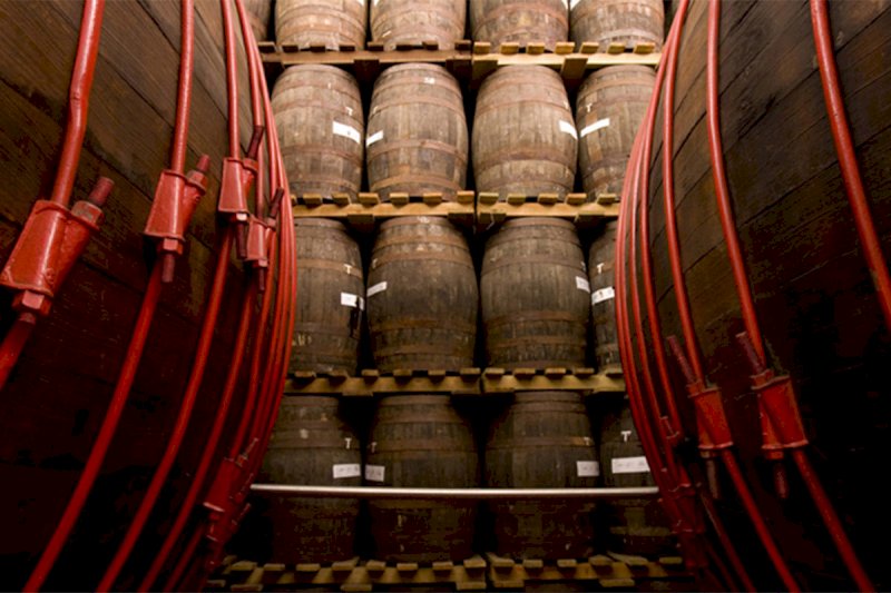 Zacapa
