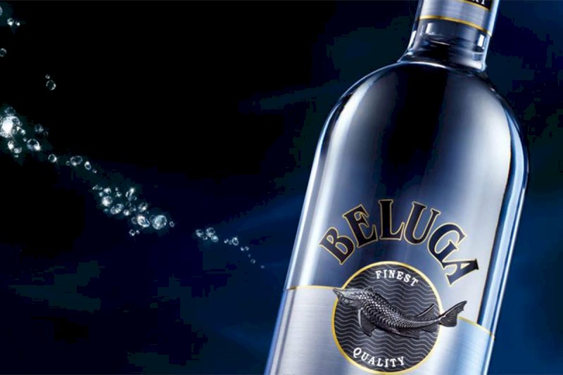 Beluga