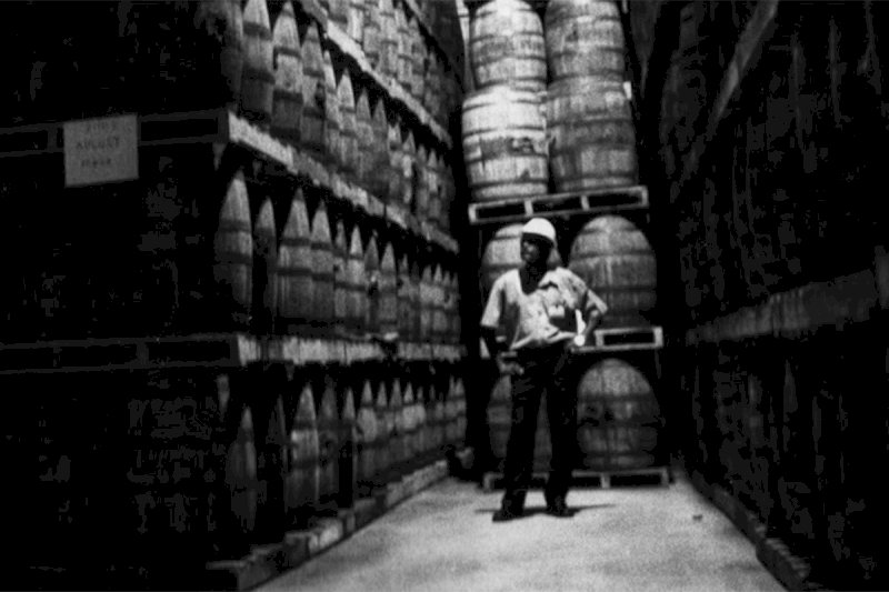 Demerara Distillers