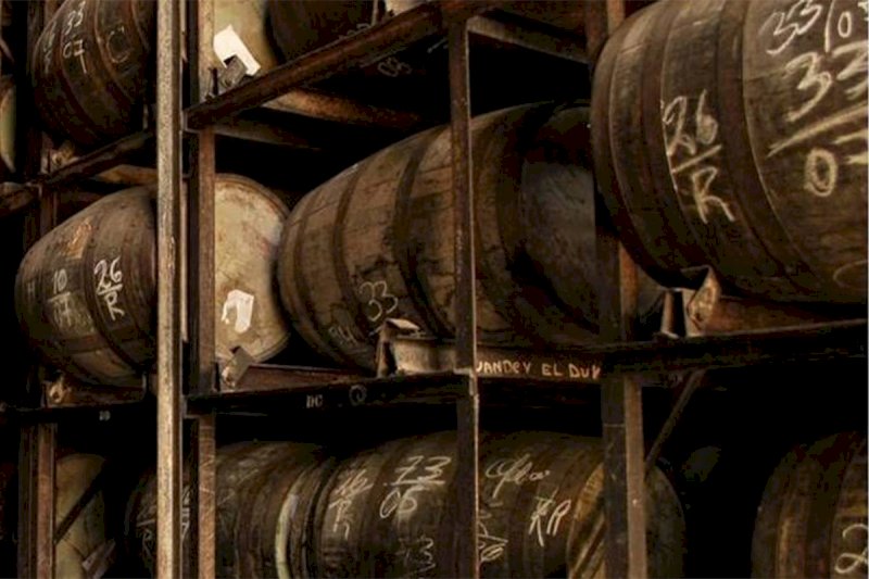Diplomatico