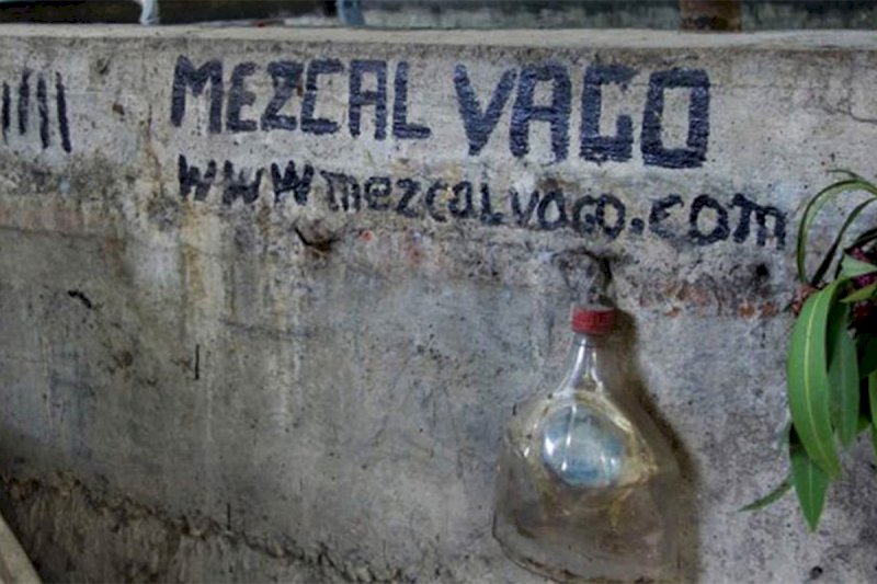 Vago