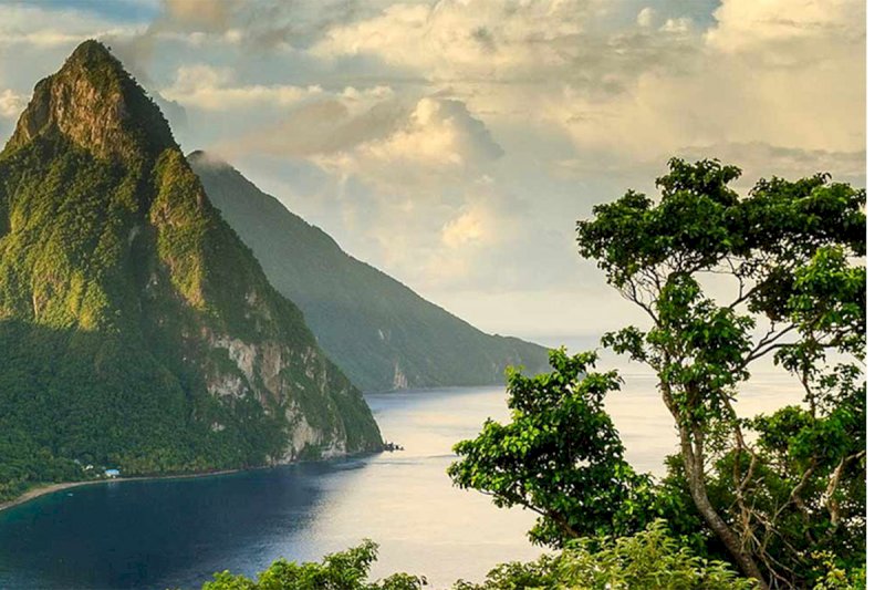 Saint Lucia Distillers