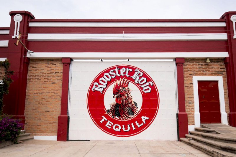Rooster Rojo