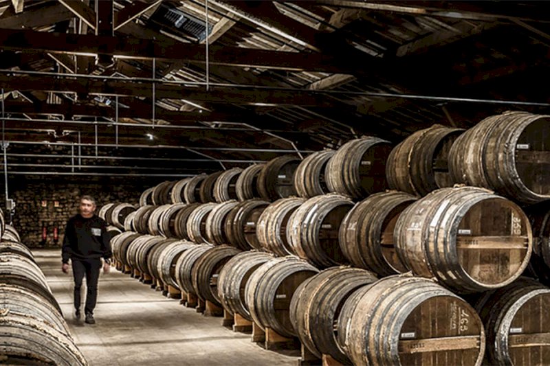Remy Martin