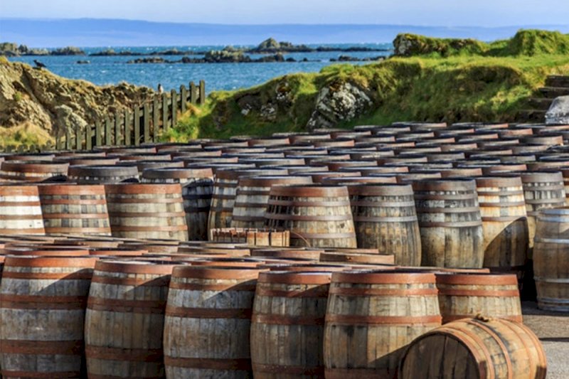 La guida completa per scoprire il Whisky