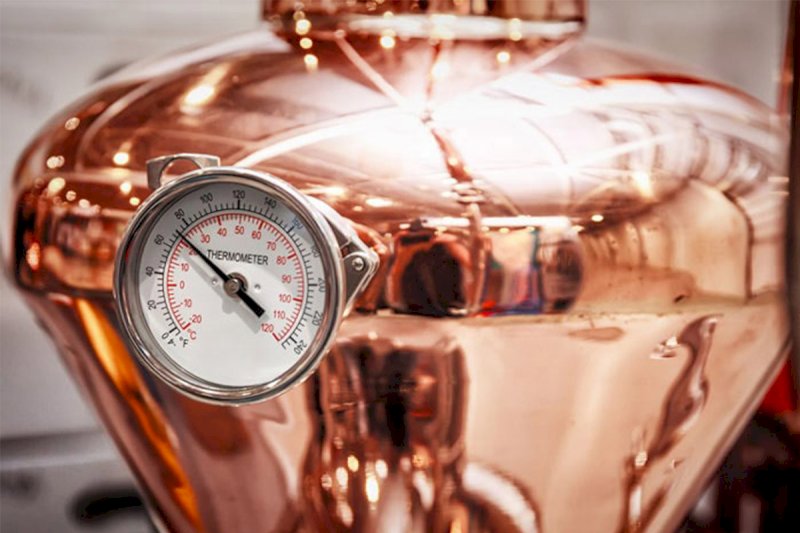 La guida completa per scoprire il Gin