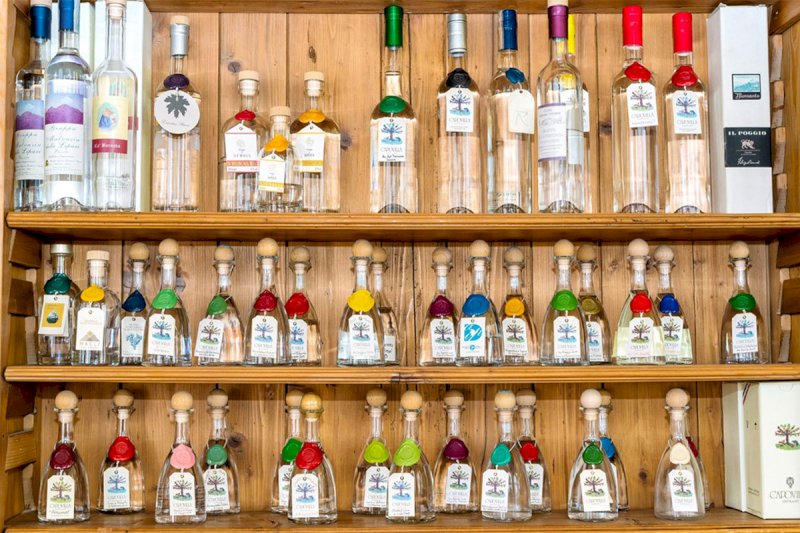 Capovilla distillati, la ricerca dell&rsquo;anima della frutta