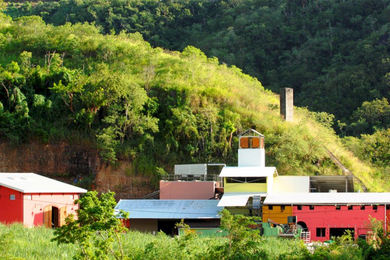 Neisson Rum Agricole: la Martinica nel bicchiere