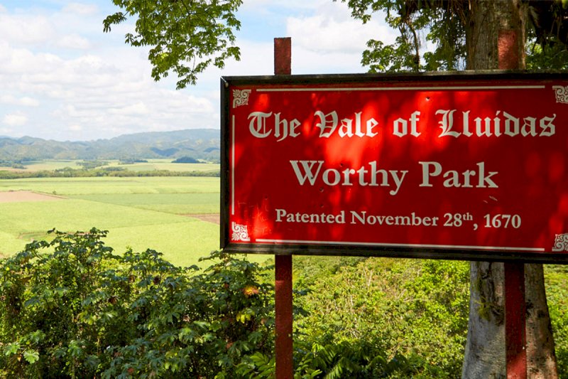 Worthy Park, un grande rum giamaicano