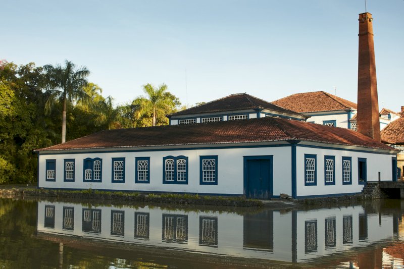 Amázzoni Gin: 100% brasiliano