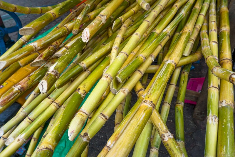 I migliori distillati di Haiti