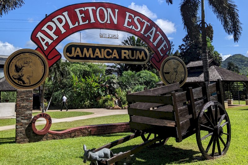 Giamaica: la capitale del rum