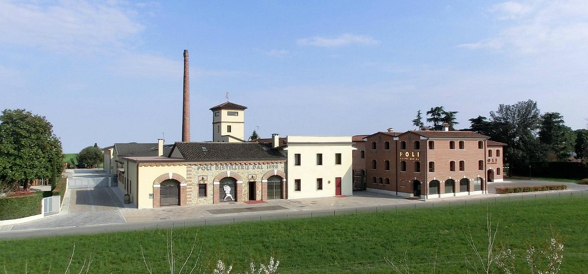 Poli