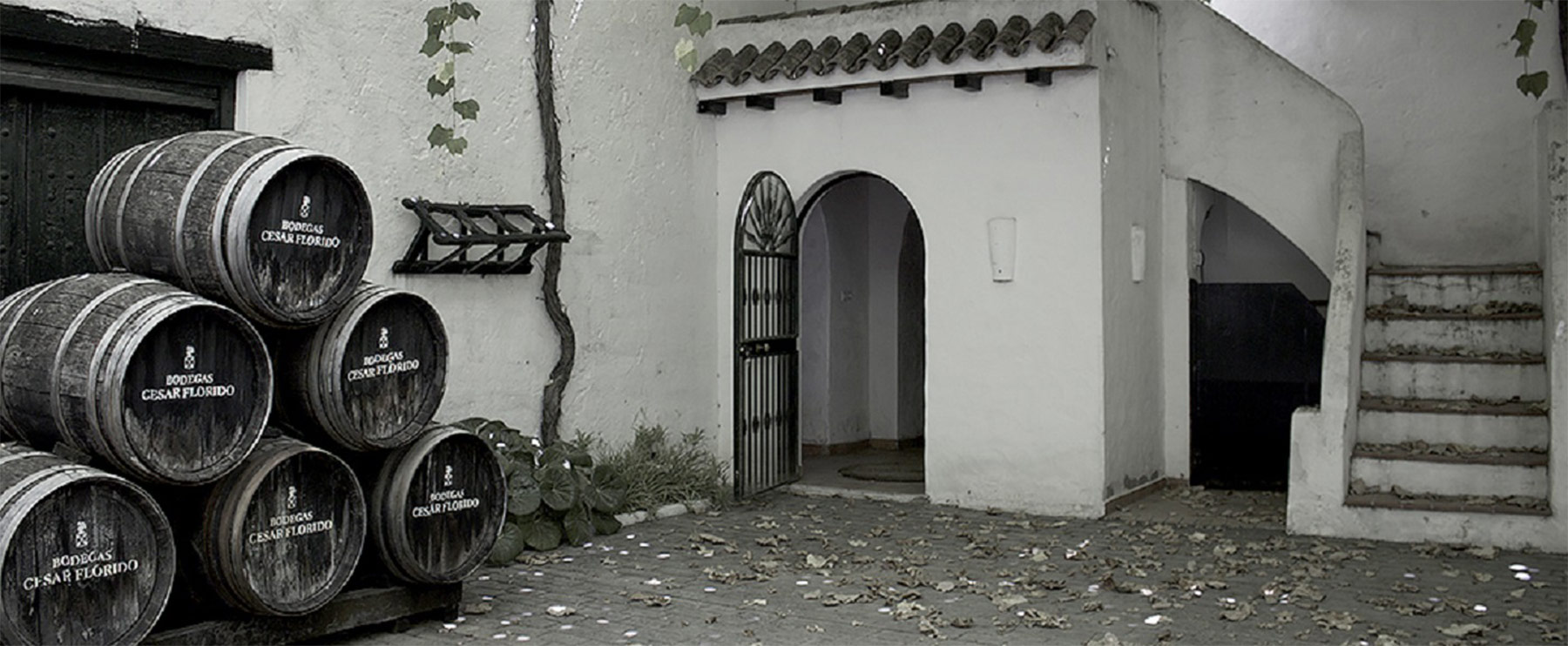 Cesar Florido