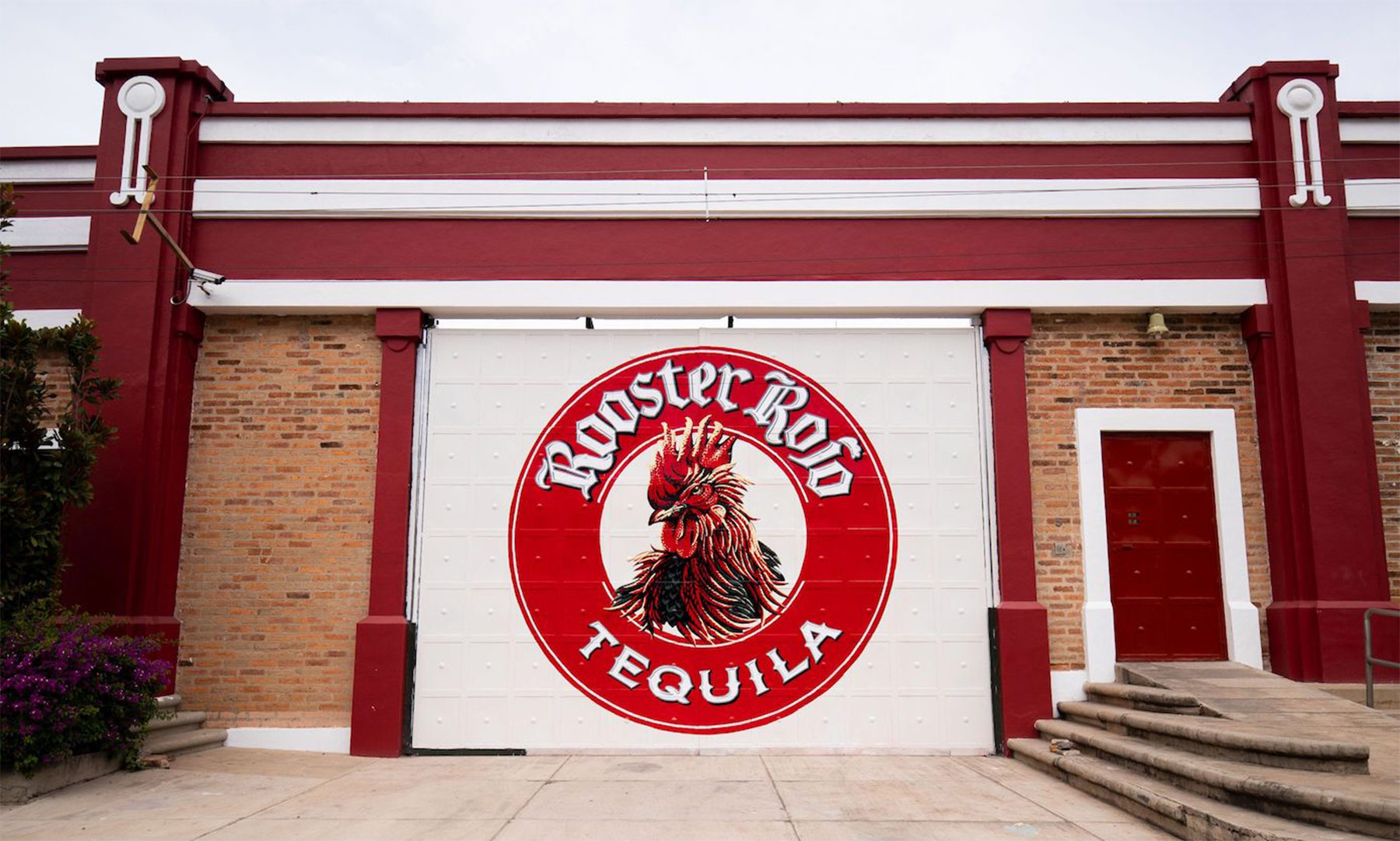 Rooster Rojo