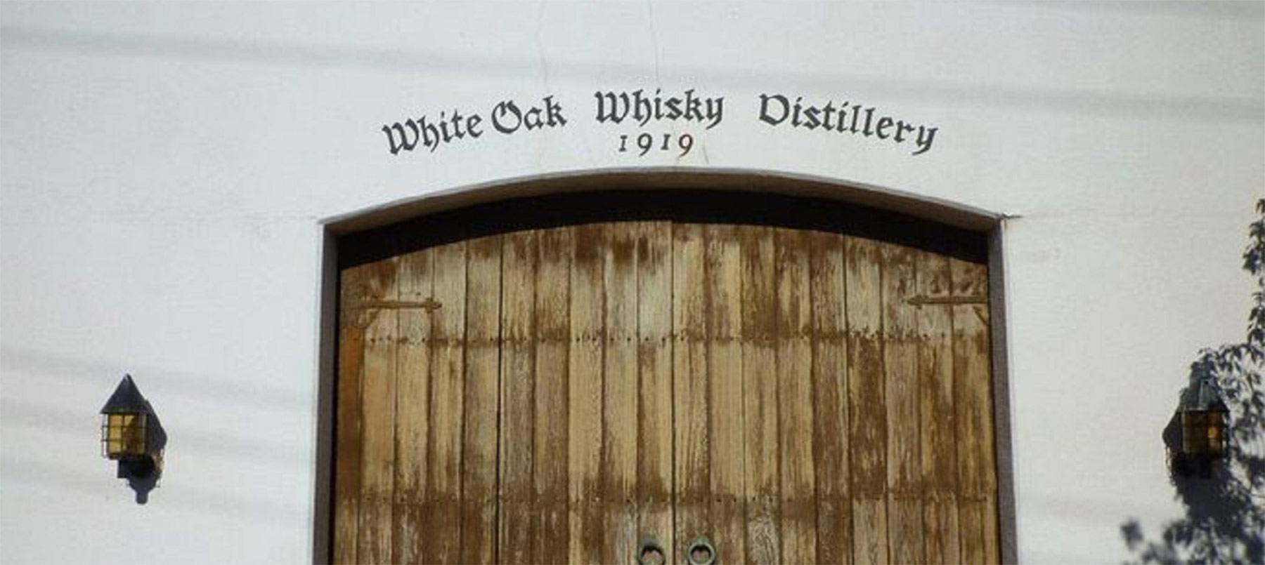 White Oak