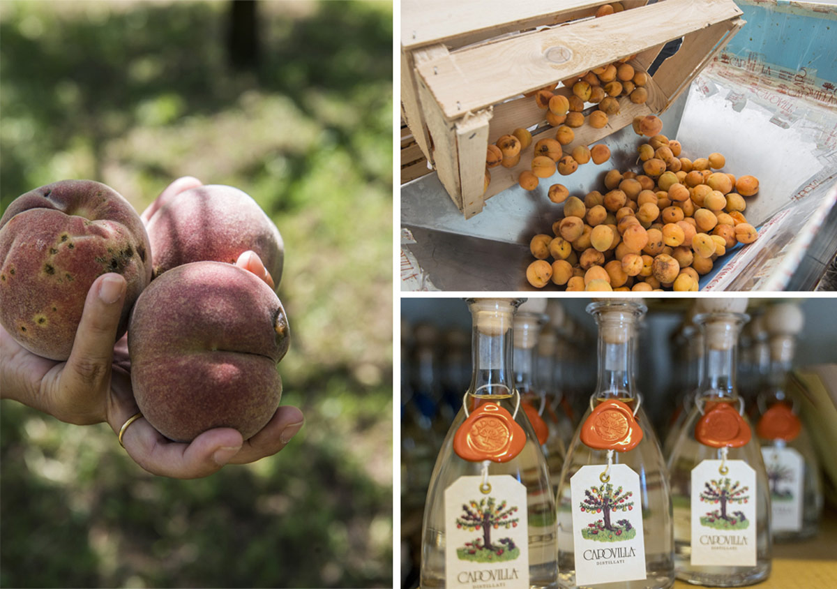 Capovilla distillati, la ricerca dell’anima della frutta