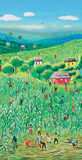 Clairin The Spirit of Haiti