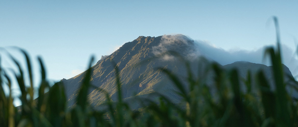 Depaz: la distilleria sotto il vulcano