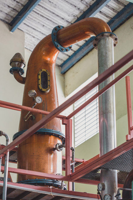 Foursquare Rum Caraibi