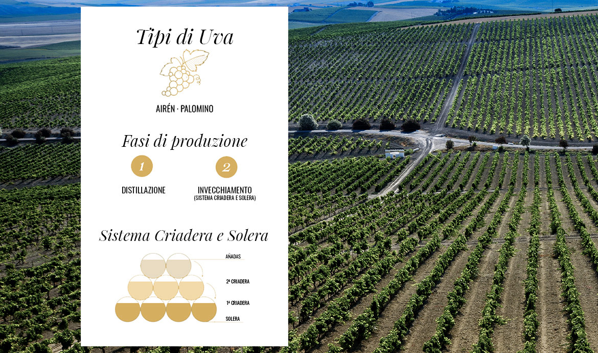 Fundador Supremo, il papà di tutti i brandy spagnoli