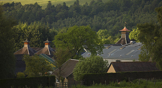 Glenfiddich Single Malt Scotch Whisky