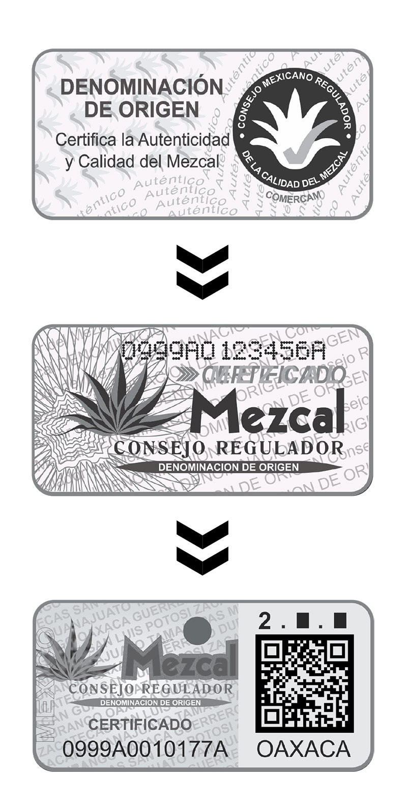 Mezcal Guide