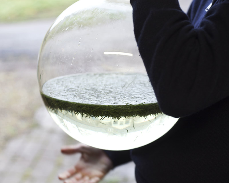 Hepple Gin