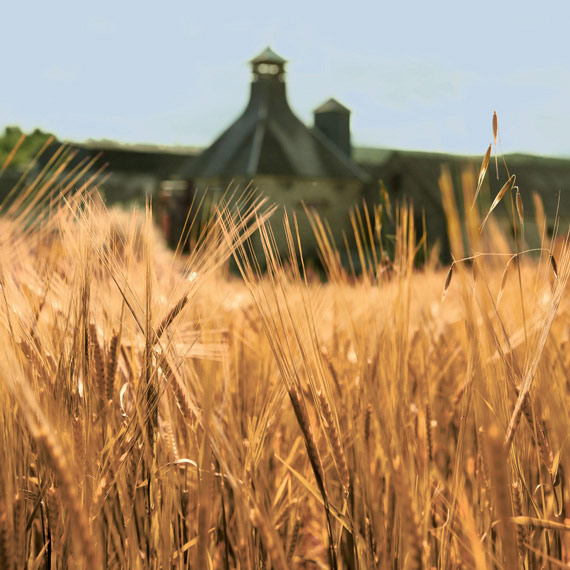 The Balvenie, Best Speyside Scotch Whisky