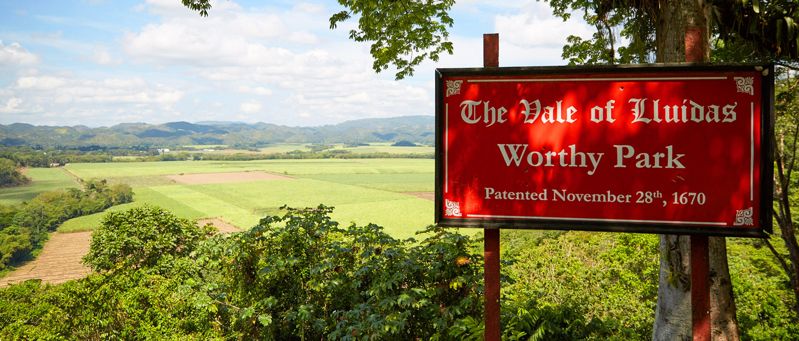Worthy Park, un grande rum giamaicano