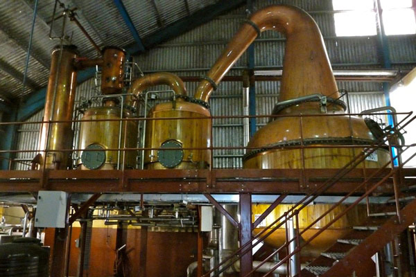Worthy Park, un grande rum giamaicano