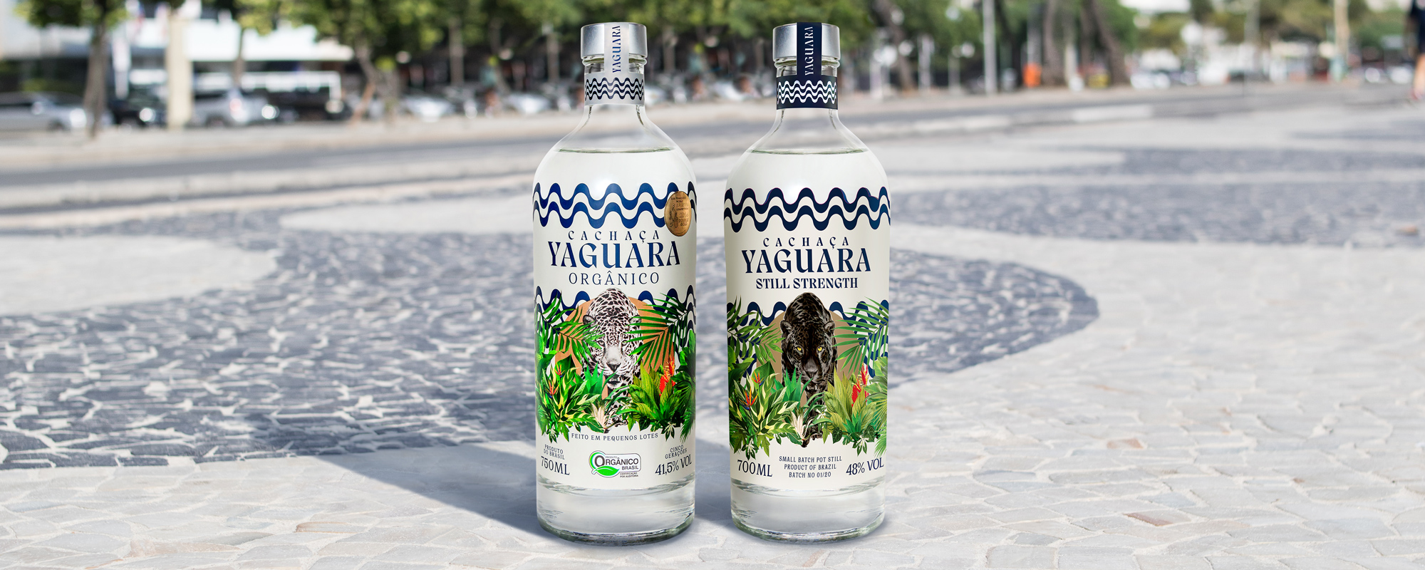 Yaguara