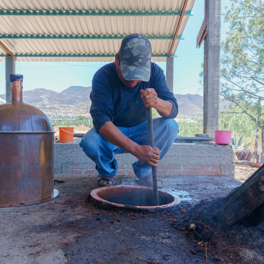 mezcal cooking