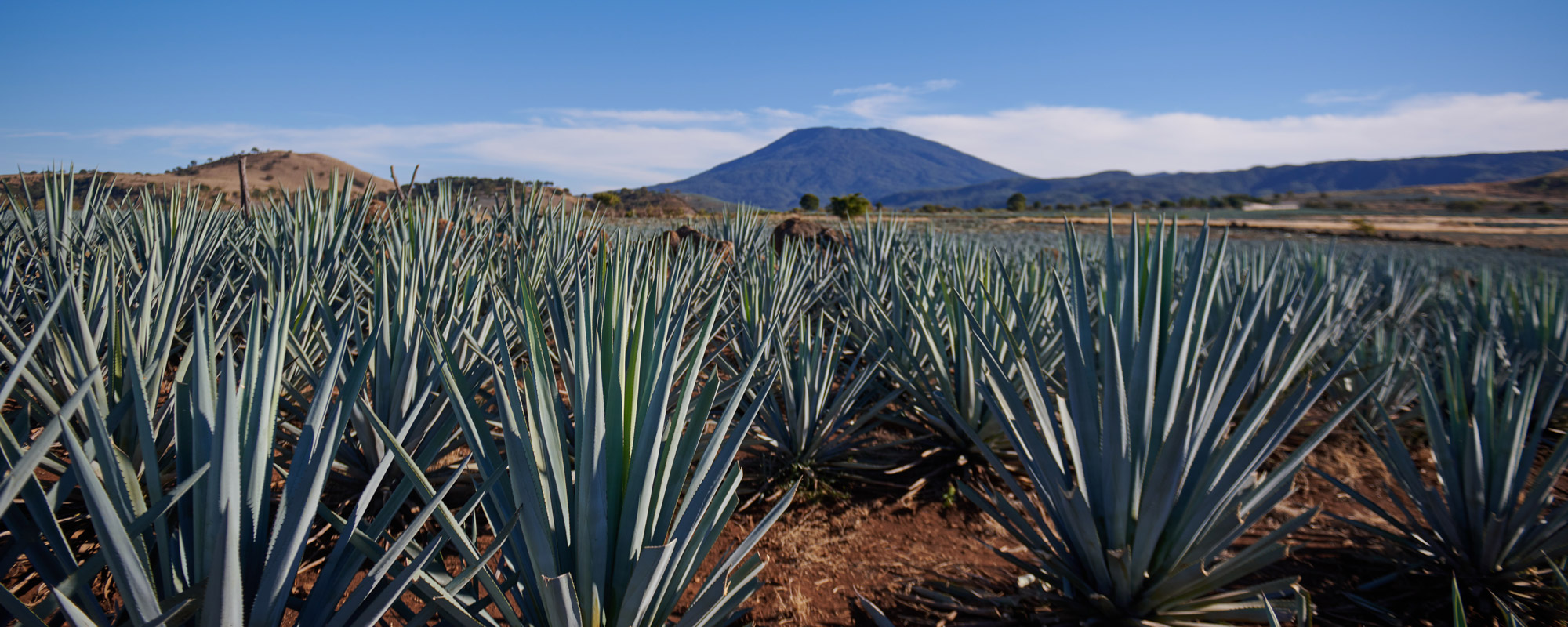 Volcán de mi Tierra: BEFORE TEQUILA WAS A DRINK, IT WAS A VOLCANO