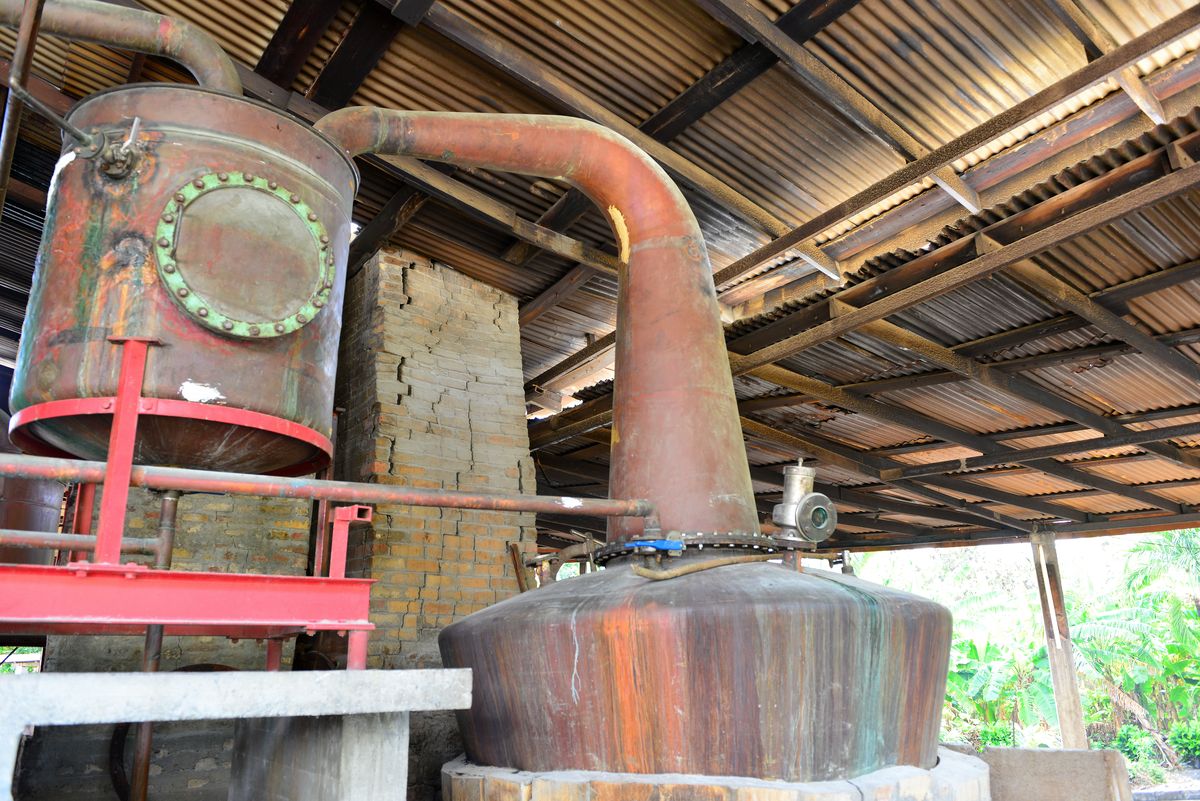 Sempre più green: anche le distillerie fanno la loro parte per l’ambiente