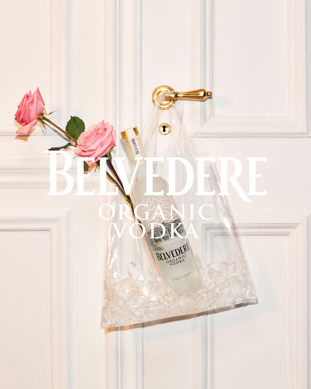 belvedere vodka