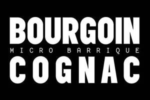 Bourgoin