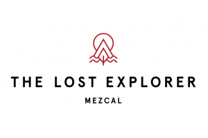 The Lost Explorer